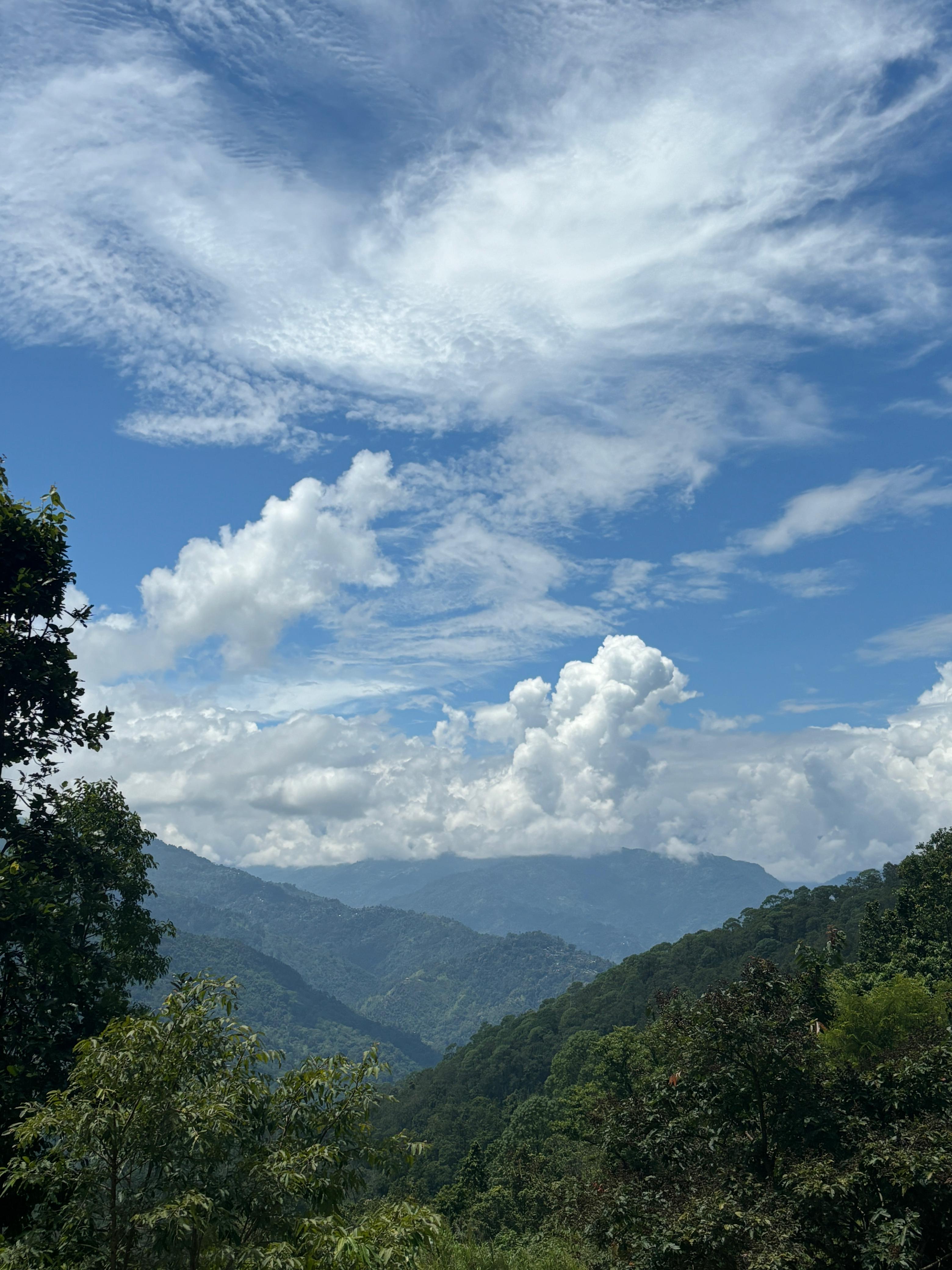 Valley View from Peafowl Homestay